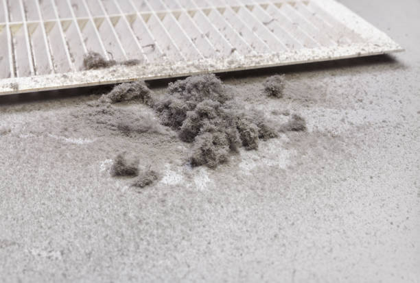 Best HVAC Duct Inspection Services  in Belington, WV
